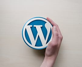 Why WordPress is Most Popular Open Source CMS Today?